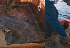 Oltaya takılan 'keler' cinsi köpek balığı, teknede doğum yaptı