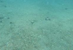 TÜDAV Başkanı Prof. Dr. Bayram Öztürk'ten 'Açık Deniz Anlaşması' çağrısı