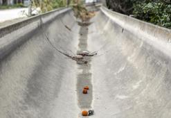 Samandağlı üreticilerin, DSİ'nin 'tarımsal sulama' kararından dönülmesi isteği