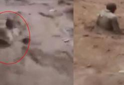 Sel sularına kapılan Reşat Ayva’dan haber var