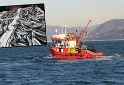 Karadeniz’de ‘hamsi avı 1 yıl ertelensin’ çağrısı