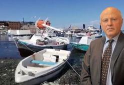 Prof. Dr. Öztürk: İskenderun'da kıyı şeridi 100 metreden 101 metreye ulaştı