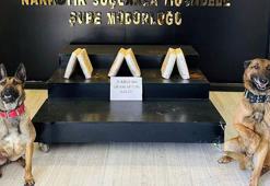 Araçtaki uyuşturucuyu narkotik köpekleri 'Ayzek' ve 'Bella' buldu