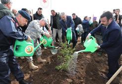 Eskişehir'de '6 Şubat Deprem Şehitleri Ormanı' oluşturuldu