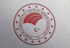 Tarım ve Orman Bakanlığı, su verimliliği çalışmalarını paylaştı