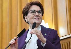 Akşener: Nevruz, katile özgürlük dilenme günü değildir