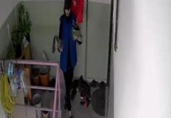 Ankara'da girdiği apartmandan ayakkabı çalan hırsız, kameralara yakalandı