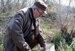 Prof. Dr. Beksaç: Edirne'deki Katolik mezarlığını defineciler tahrip etti