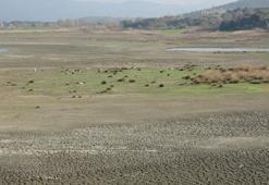 Uzunhızırlı Göleti kuruma noktasına geldi, kuşlar bölgeyi terk etti