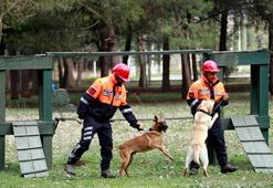 Depremde 78 kişiyi kurtaran köpeklerin branşlarını, askeri heyet belirliyor