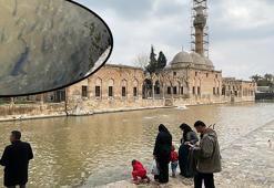 Balıklıgöl'ün suyu normalleşmeye başladı, balıklar yeniden ortaya çıktı