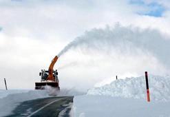 Prof. Dr. Tecer: Türkiye’de karla kaplı günler 2,5 güne düştü
