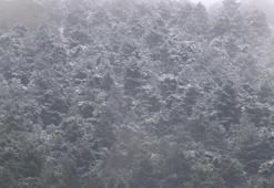 İstanbul'un yüksek kesimlerine kar yağdı