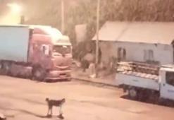 Tunceli'de kar ve tipi; Tunceli- Erzincan karayolu trafiğe kapatıldı