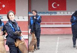 AFAD'ın Çaki ve Latte'si eğitimde