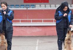 AFAD'ın Çaki ve Latte'si eğitimde