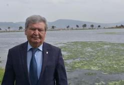 'İzmir Körfezi'nde son 1 yıldır deniz marulları hiç yok olmadı'