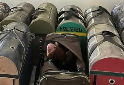 Nusaybin'de horoz dövüştüren 38 kişiye 154 bin lira ceza