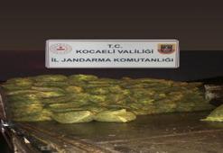 TIR'da 10 ton kaçak midye ele geçirildi