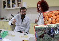 'Kanatlı eti ve yumurtası yüksek ısıda tüketilmeli'