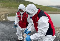 Arnavutköy'de kimyasal atık baraja karıştı; bakanlık inceleme yaptı