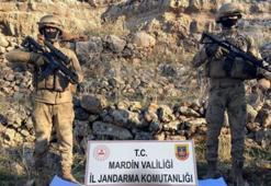 İçişleri Bakanlığı: Mart ayında 4'ü sözde üst düzey 80 terörist etkisiz hale getirildi