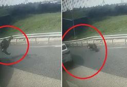 'Dur' ihtarına uymayıp otomobiliyle polise çarptı, o anlar kamerada
