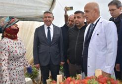 Bakan Kirişci: Örtü altı üretim alanı 811 bin dekara çıktı