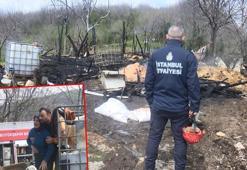 Beykoz'da ahır yangını: 1 inek ve 1 köpek öldü