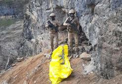 İçişleri: Sözde Cilo bölge sorumlusu terörist etkisiz hale getirildi