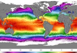 Okyanus yüzeyi ortalama sıcaklığı Nisan ayında rekor kırdı