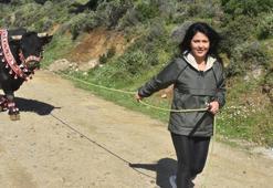 'Boğaların efesi' Buse, 'Goca Çınar' ile rakiplerine meydan okuyor