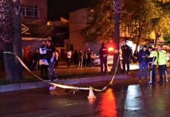 Adana'da yolun karşısına geçerken otomobilin çarptığı Ala hayatını kaybetti