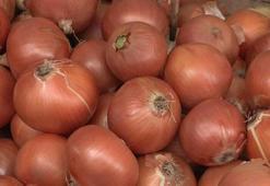 Bakanlık: İhtiyacı karşılayacak düzeyde kuru soğan üretimi gerçekleştirildi