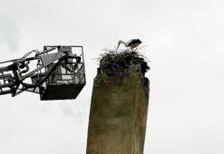 İtfaiyecilerden evin etrafında uçan leylek için bacaya yuva