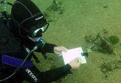 Prof. Dr. Sarı: Pina, saatte 6 litre deniz suyunu süzerek müsilaj oluşumunu engelliyor