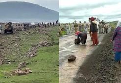 Mardin'de güneş enerjisi santrali gerginliği; jandarma müdahale etti