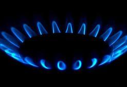 TPAO Genel Müdürü Bilgin: Mayıs ayı başında tamamen gaz sisteme verilmeye başlanacak