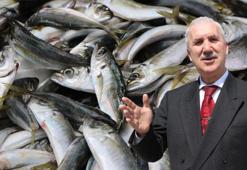 Prof. Dr. Samsun: Küresel ısınma nedeniyle avlanan balık miktarı azaldı