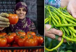 İhracatın kralı domates ve biber oldu
