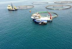 Türkiye, su ürünleri yetiştiriciliğinde Avrupa'da 1'inci sırada