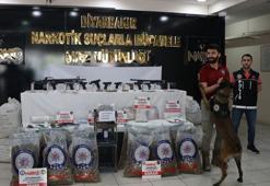 50'nci 'Kökünü Kurutma Operasyonu'nda ele geçen uyuşturucu ile silahlar sergilendi