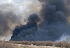 Sultan Sazlığı Milli Parkı'ndaki yangın 15 saatte söndürüldü