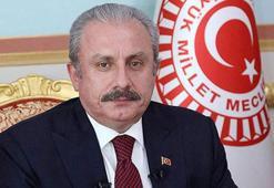 Şentop'tan altın madalya kazanan Akgül ve Aktürk'e tebrik mesajı