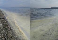 Prof. Dr. Mustafa Sarı: Şu an kremsi müsilajı görüyoruz