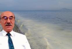 Prof. Dr. Mustafa Sarı: Şu an kremsi müsilajı görüyoruz