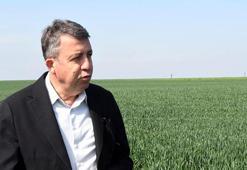 Prof. Dr. Orta: Son yağışlarla çiftçinin sıkıntısı son buldu