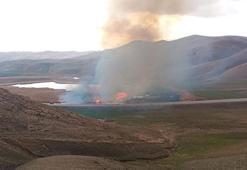 Dikkuyruk ördeklerinin üreme alanı sazlık yandı