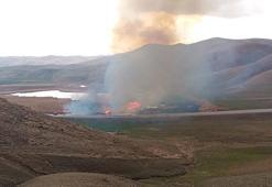 Dikkuyruk ördeklerinin üreme alanı sazlık yandı