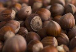 Ferrero Fındık’ın tarımsal desteği 50 bin üreticiye ulaştı